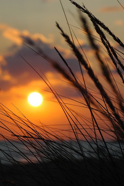 luz natural, por do sol, creative discovery, fotografia qualidade